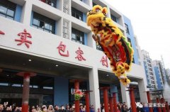 醒狮贺岁，开云·官方站注册-开云online(中国)2019年开工大吉